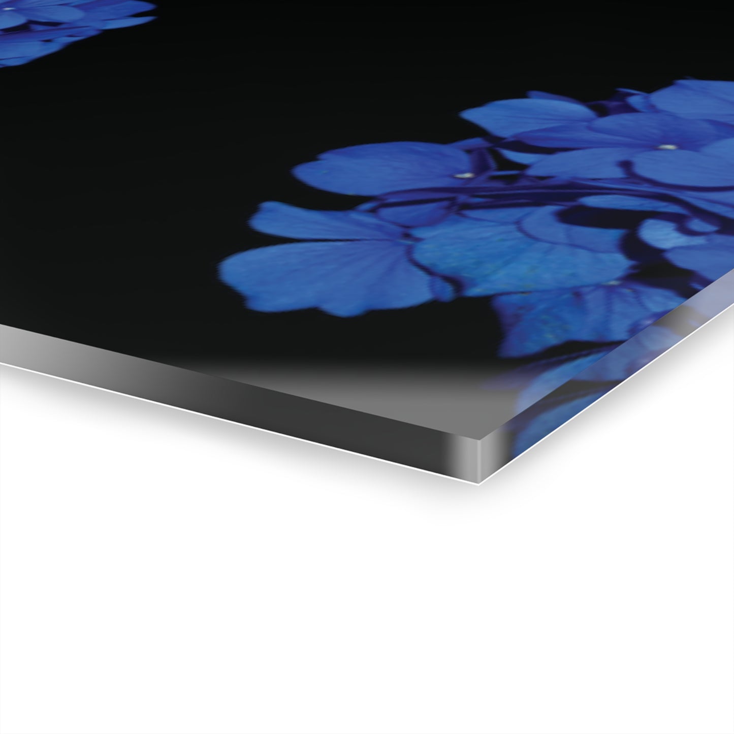 Acrylic Prints (Triptych)