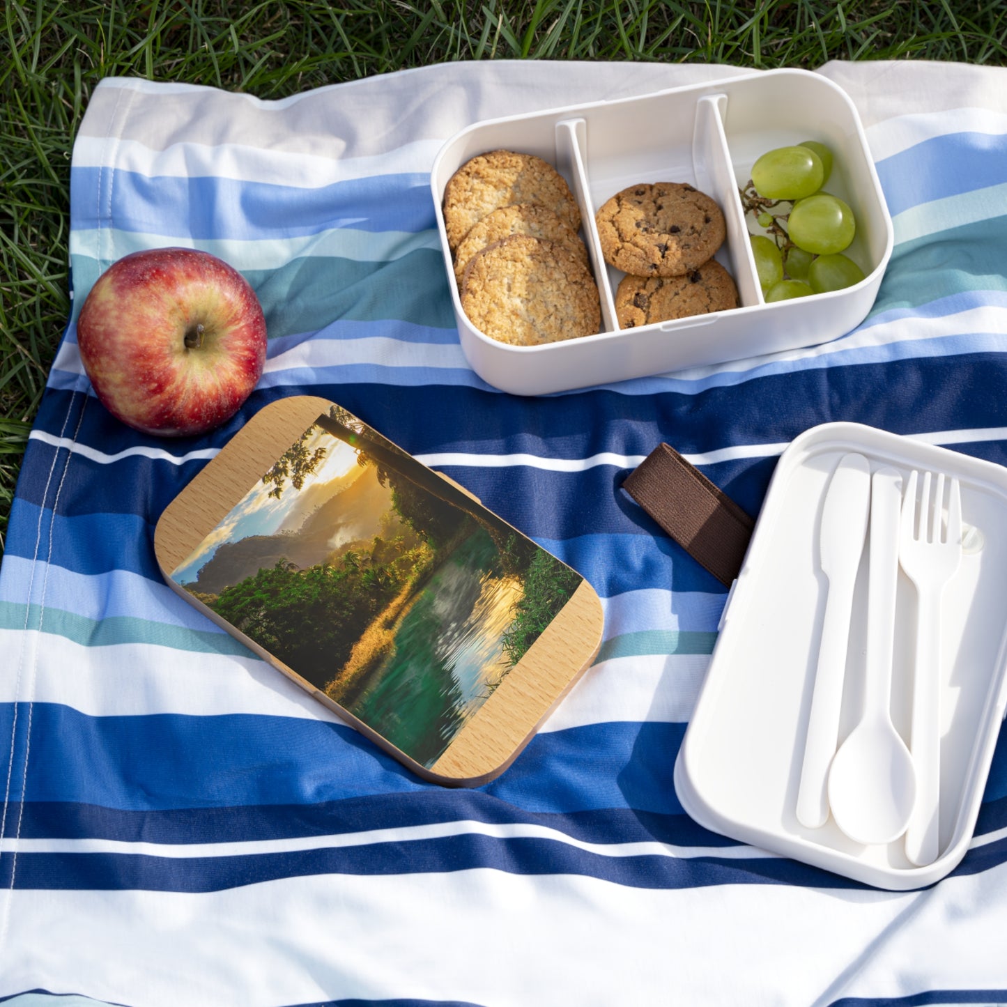 Bento Lunch Box