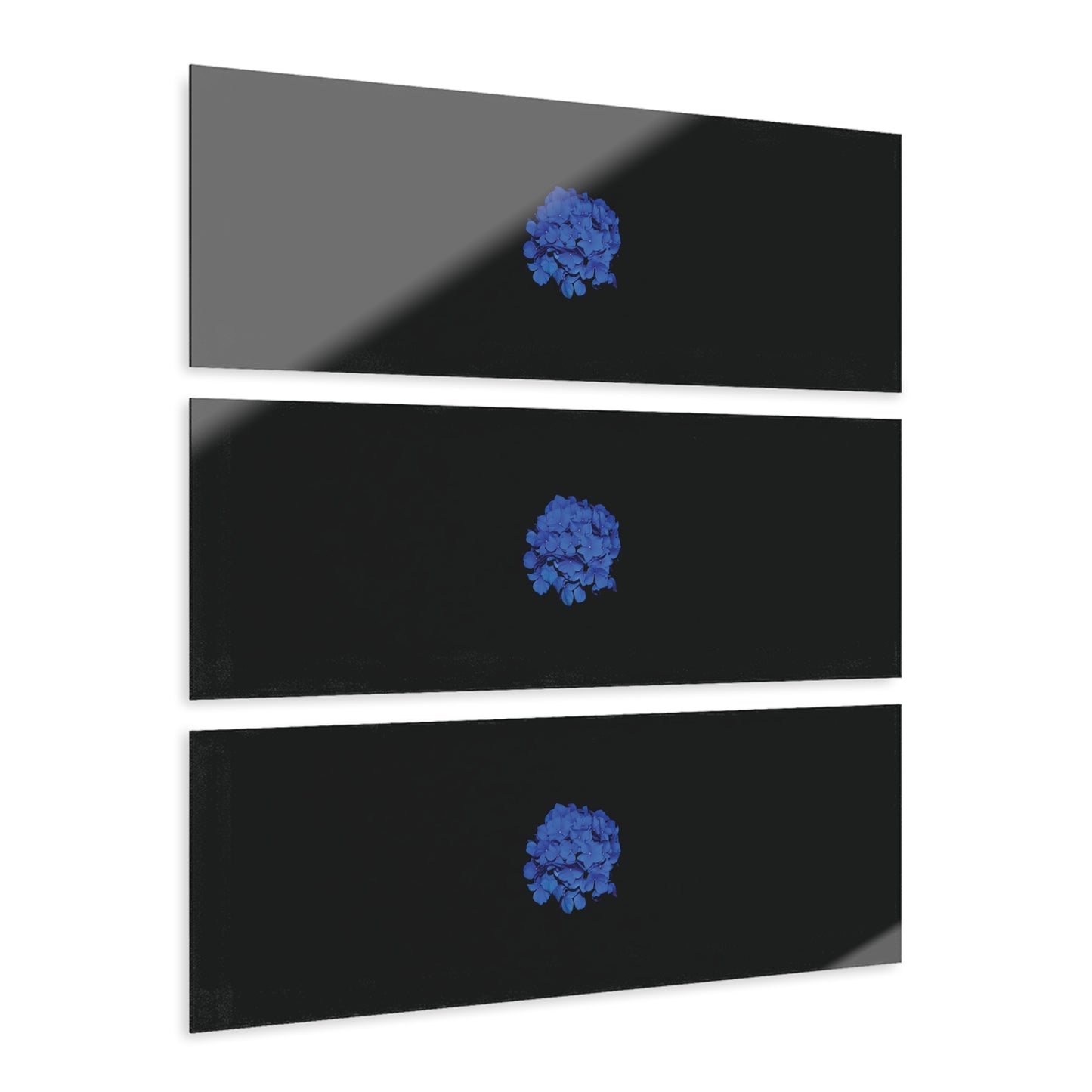 Acrylic Prints (Triptych)