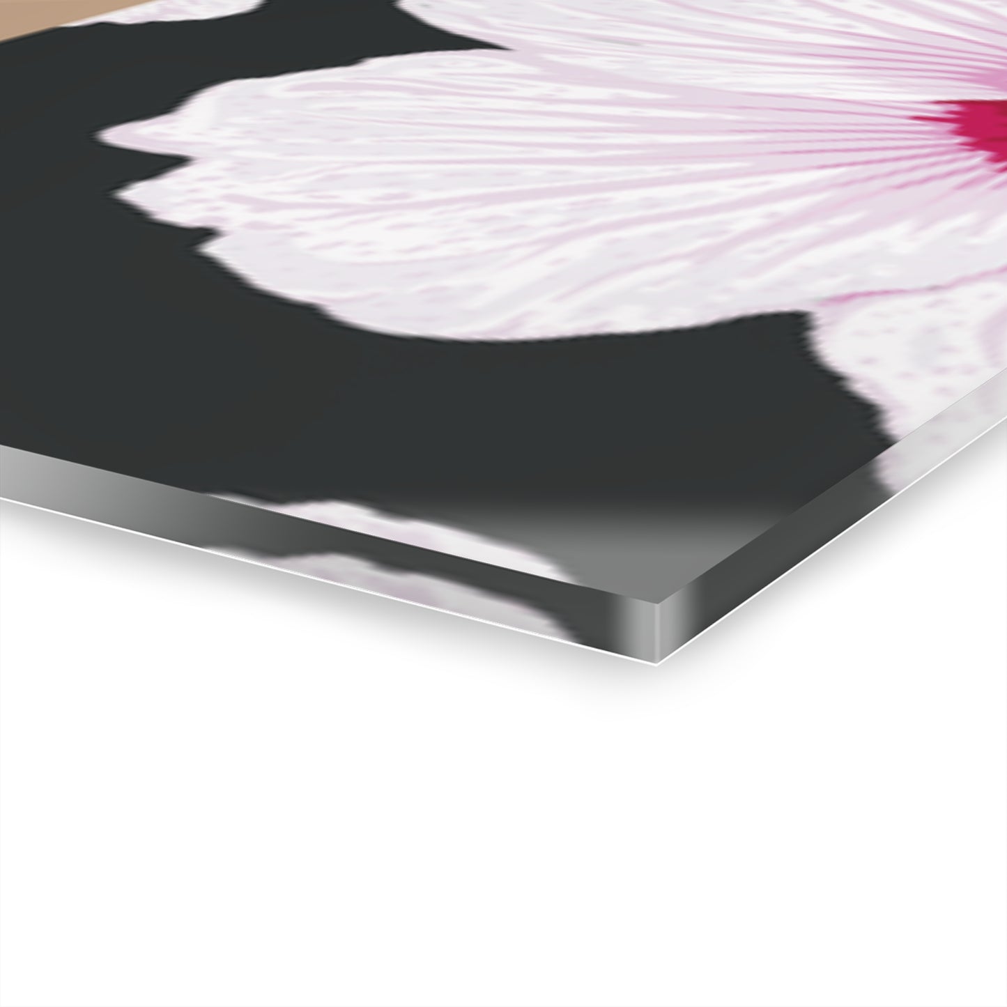 Acrylic Prints (Triptych)