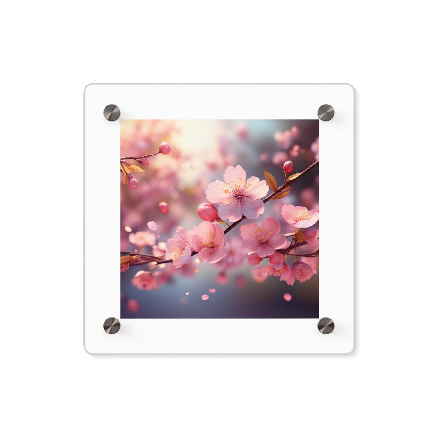 Acrylic Wall Art Panels