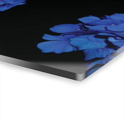 Acrylic Prints (Triptych)