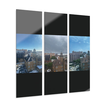 Acrylic Prints (Triptych)
