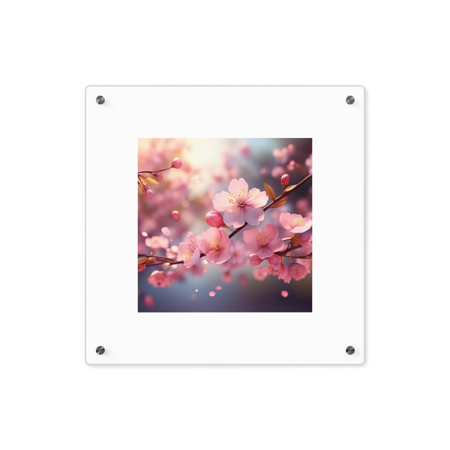 Acrylic Wall Art Panels